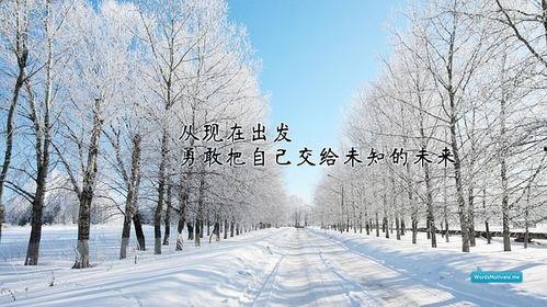 雾凇热门话题,冬日里的冰晶童话世界