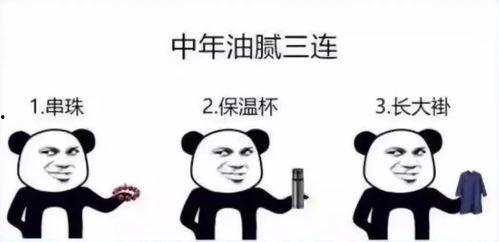 热门文案热门话题,解码热门文案背后的文化密码