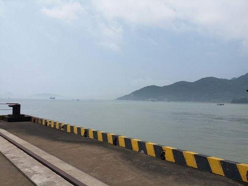 热门话题大鱼,探寻深海奥秘，揭秘海洋生物传奇