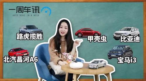 上车热门话题
