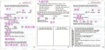 热门话题入境,入境新趋势与全球焦点聚焦