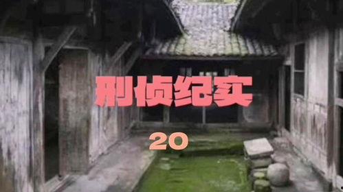 刑侦热门话题,揭秘热门刑侦案件背后的真相与挑战