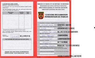入境热门话题,揭秘全球游客关注的焦点与趋势