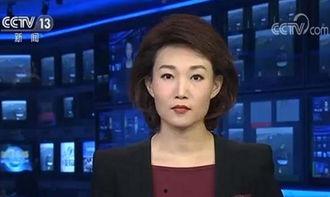 热门话题连播,解码当下热议焦点，深度解析社会脉动