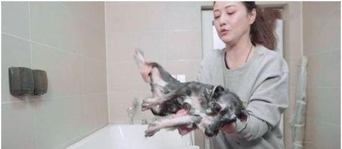 热门话题周海媚,从经典角色到时尚达人，她的人生传奇