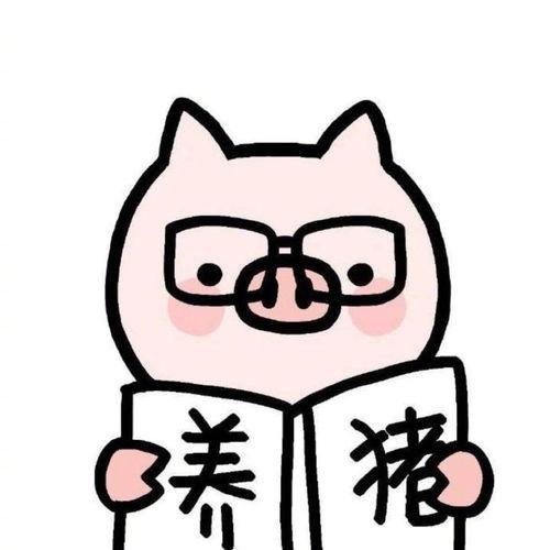 热门话题年猪,传统习俗与现代生活的完美融合
