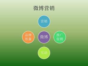 热门话题运动,探索当下热门运动趋势与健身革命