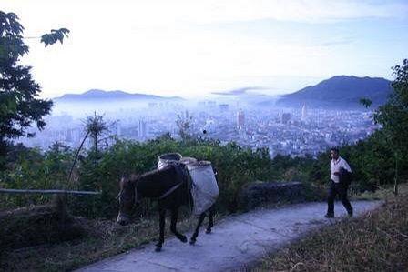 热门话题早晨,探索今日热门话题的晨间视角