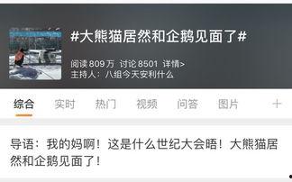 热门话题热门爆料,最新爆料背后的真相与影响