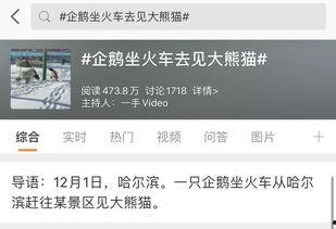 热门话题热门爆料,最新爆料背后的真相与影响