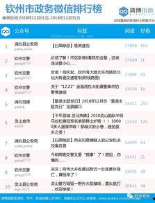 钦州热门话题,聚焦城市脉搏，解码发展新动向”