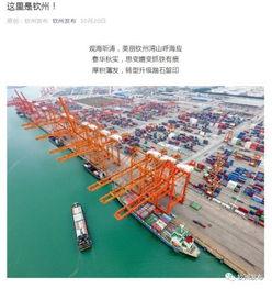 钦州热门话题,聚焦城市脉搏，解码发展新动向”