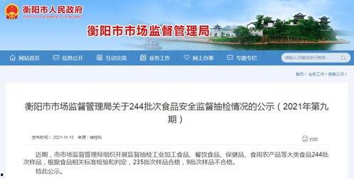 衡阳热门话题,聚焦城市发展新动态