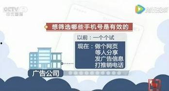 珠海热门话题,聚焦创新与发展，热点话题盘点