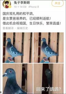 鸽子热门话题,探寻热门话题中的神秘使者