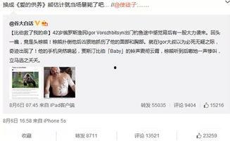 话题挑战热门话题,探索热门话题背后的深层逻辑