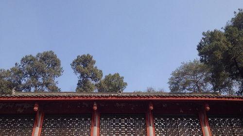 热门话题凉亭,探寻凉亭里的清凉时光