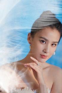 天鹅热门话题,探寻自然之美与生态保护的永恒话题