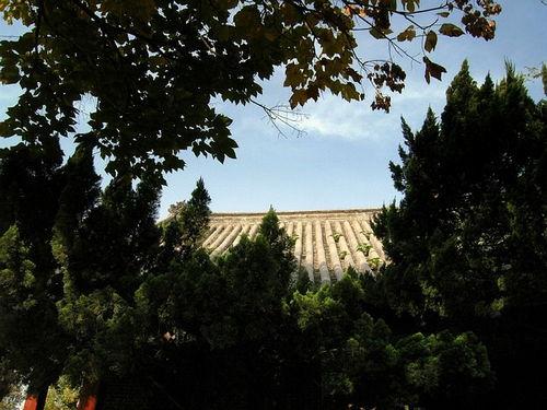 平泉热门话题,聚焦城市新动态，共话发展新篇章