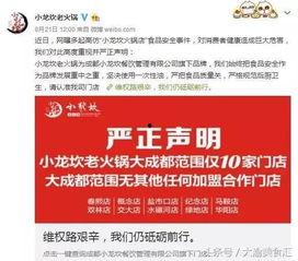 热门话题小龙,揭秘网络热词背后的文化现象