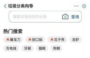 上门热门话题,科技革新、社会变迁与全球焦点