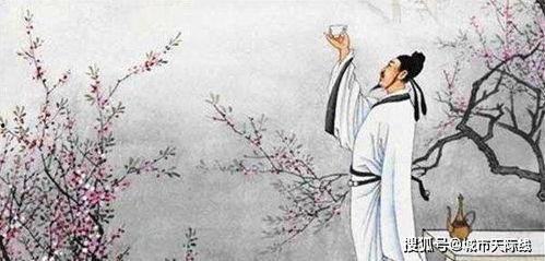 杜甫 热门话题,探寻古典文学中的现代议题