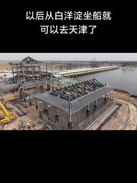 热门话题荷塘,探寻自然与人文的交融之美