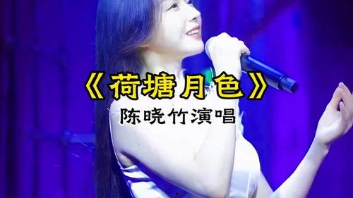 热门话题荷塘,探寻自然与人文的交融之美