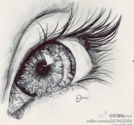 眼部热门话题,热门话题深度解析