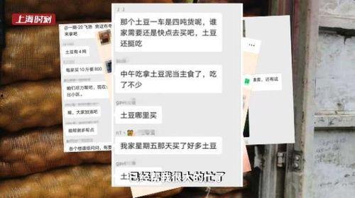马铃薯热门话题,从田间到餐桌的热门话题解析