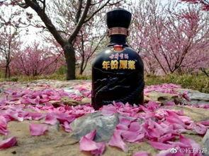 热门话题古井,探寻历史韵味传承