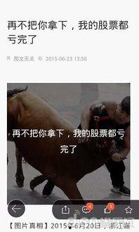 牛群热门话题,揭秘热门话题背后的热点与焦点