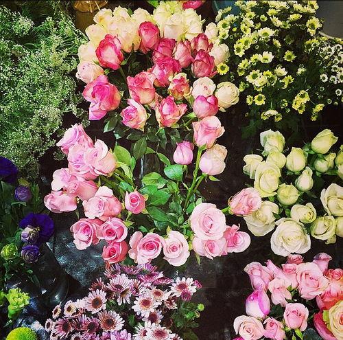 热门话题菜花,营养美味，健康生活新宠