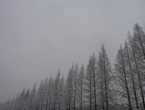 热门话题夜雨,探寻都市夜雨中的心灵故事