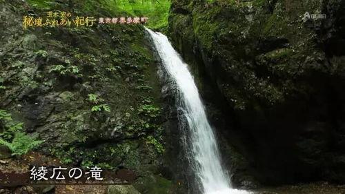 内丘热门话题,聚焦本土热点，解码民生关切