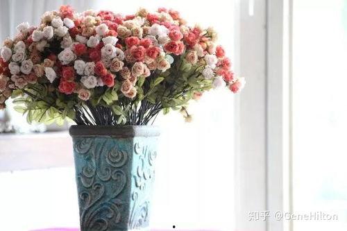 热门话题 花卉,探寻花卉界的流行趋势与魅力