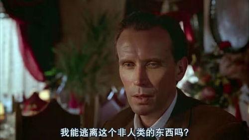 汉奸热门话题,历史与现实的反思