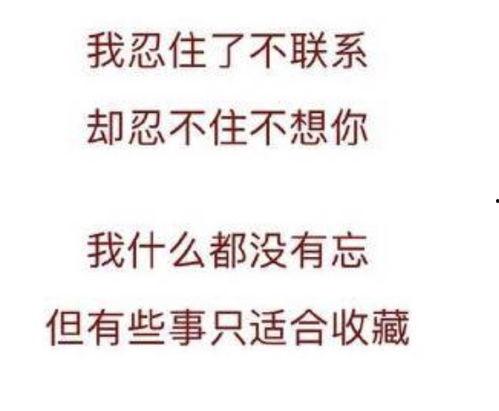 硬撑热门话题,热门话题下的坚韧与挑战