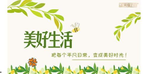 姐弟热门话题,探讨当代姐弟关系的热门话题与现象