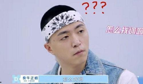 翻唱 热门话题,翻唱热潮下的热门话题解析