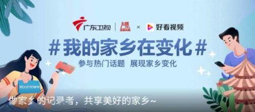 安乡热门话题,聚焦本地热点，解码民生关切