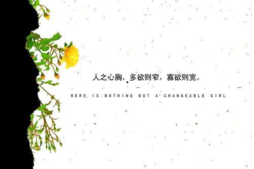 静心热门话题,探索心灵宁静的五大热门话题