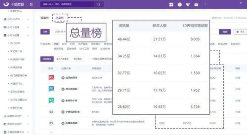 热门话题入口话题,解码当下社会热点与焦点