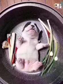 热门话题鱼生,传统美食的现代演绎