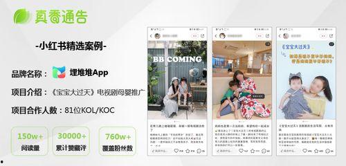 热门话题通告,解码社会热点背后的深层意义