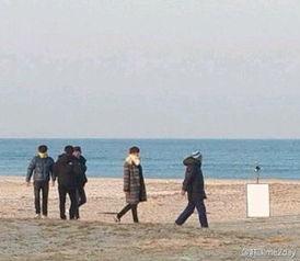 海边热门话题,揭秘海边热门话题背后的故事