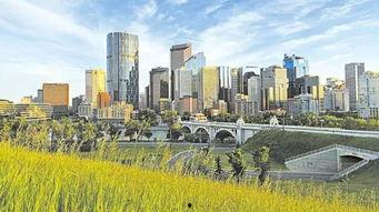 城镇热门话题,解码新时代城镇化进程中的热门话题