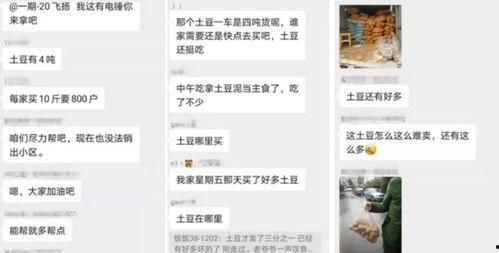 热门话题土豆,从田间到餐桌的美食革命