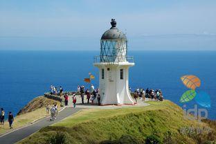 热门话题新西兰,自然奇观与多元文化的魅力之地