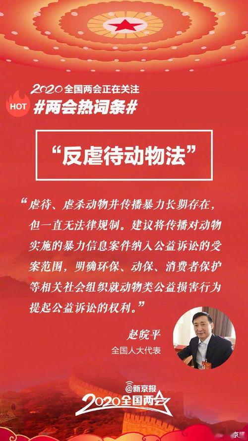 热门话题拥军,聚焦拥军热点的时代使命与责任担当